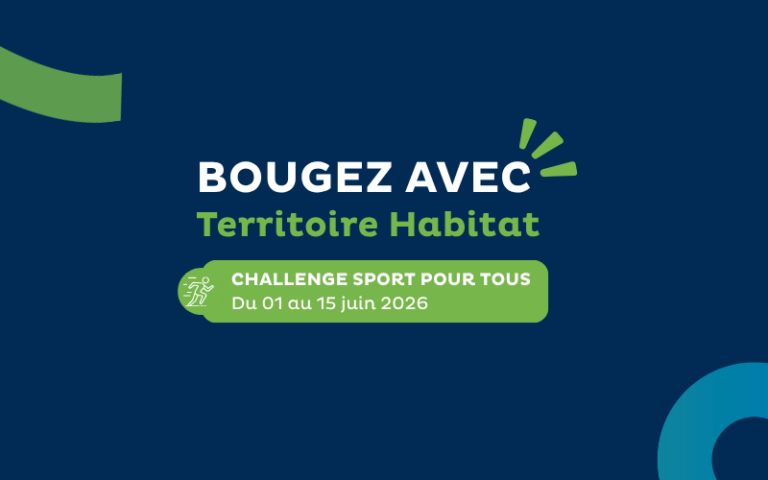 Encart site web mael - challenge (4)